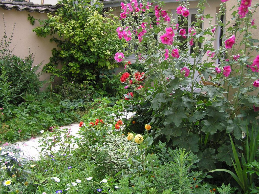La Petite Maison Dans La Croix Rousse *